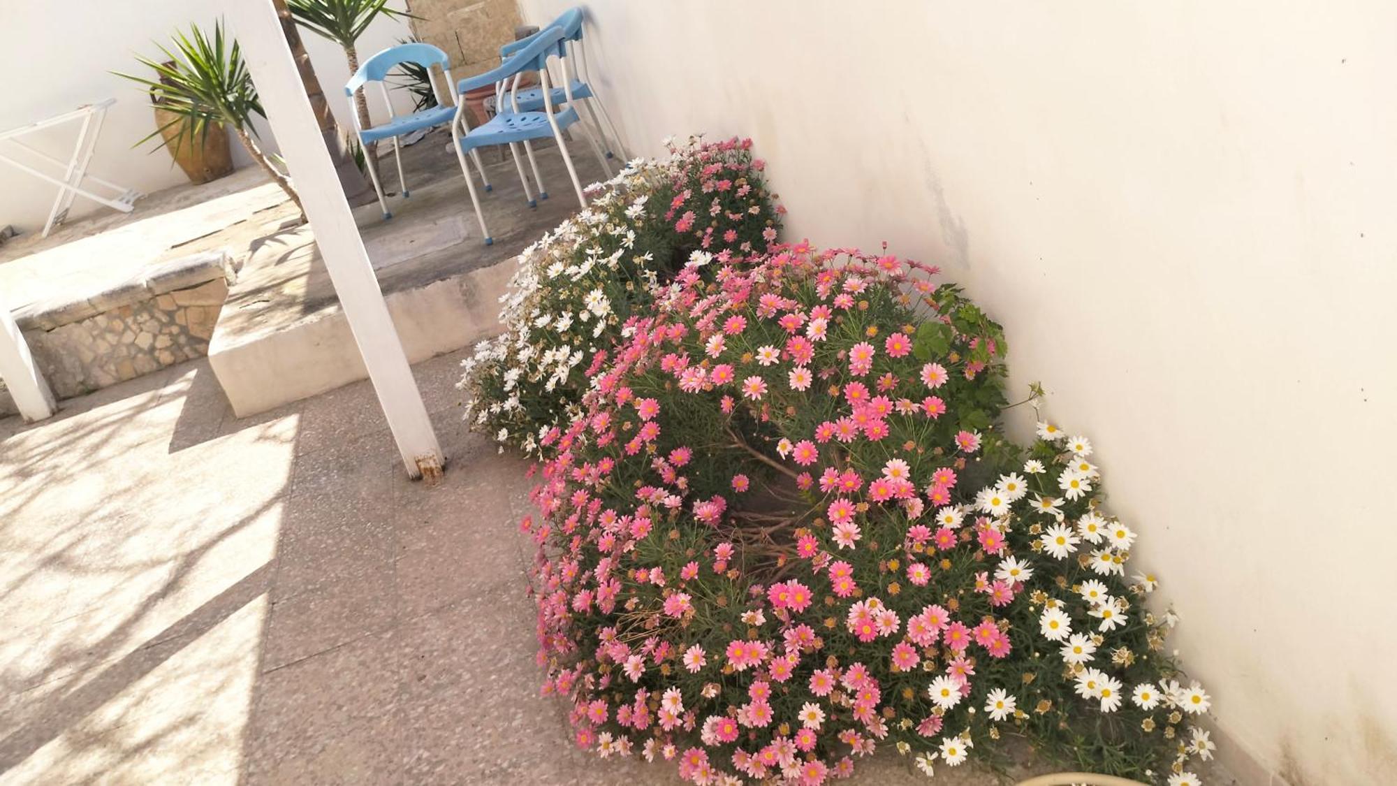 Casa Antonio E Nicoletta Porto Cesareo Exterior foto